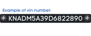 Example of vin number